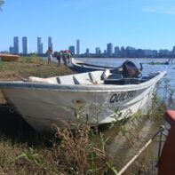 Cachorro 540 2021 con Suzuki 15 Hp 1998