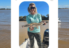 veda veda veda veda veda